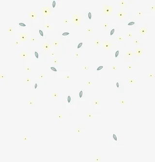 漂浮花瓣免抠