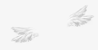 手绘创意素描天使的翅膀老师免抠