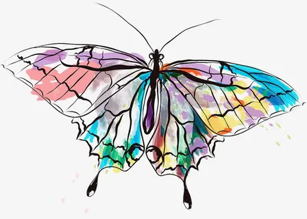 美丽的蝴蝶免抠