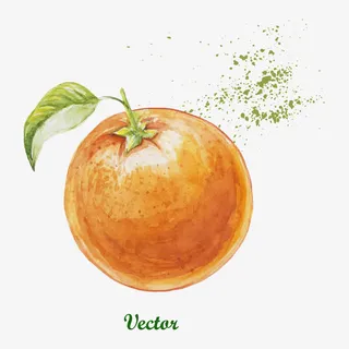 水彩橙子免抠