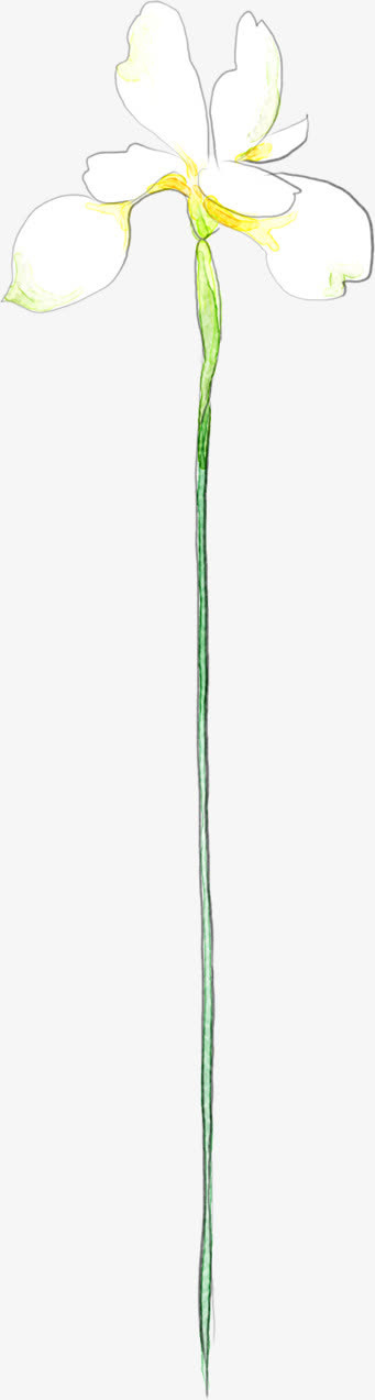 手绘春天开放的兰花免抠
