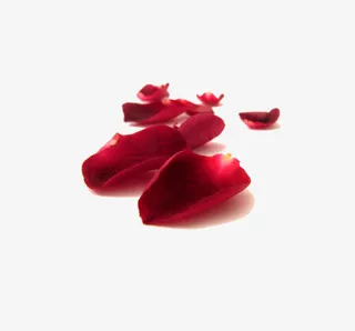 玫瑰花瓣免抠