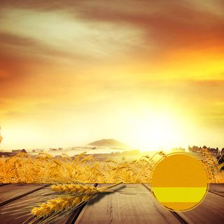 金色麦田粮油米面PSD分层主图背景素材高清