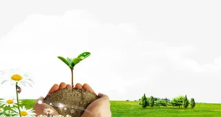 清新草地发芽免抠