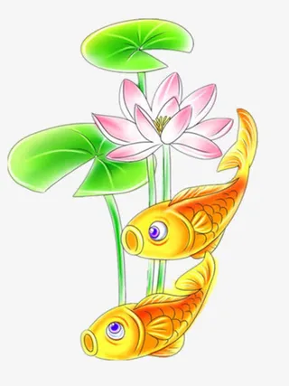 荷花鲤鱼免抠