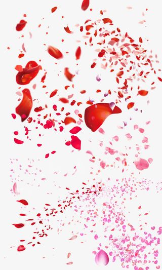 漂亮飘落的粉色花瓣免抠