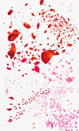 漂亮飘落的粉色花瓣免抠