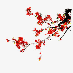 PNG~梅花免抠