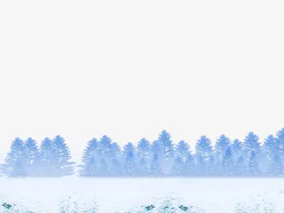 雪地上的柏树免抠