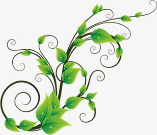 绿色春天花朵枝条免抠