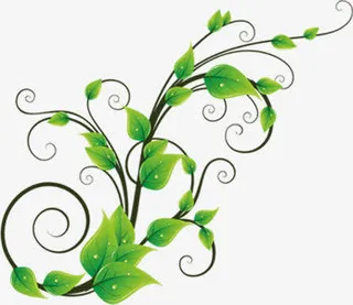 绿色春天花朵枝条免抠