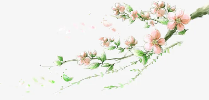 手绘桃花美景唯美免抠 手绘桃花美景唯美免抠