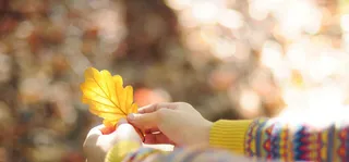 天猫 淘宝 海报 banner高清