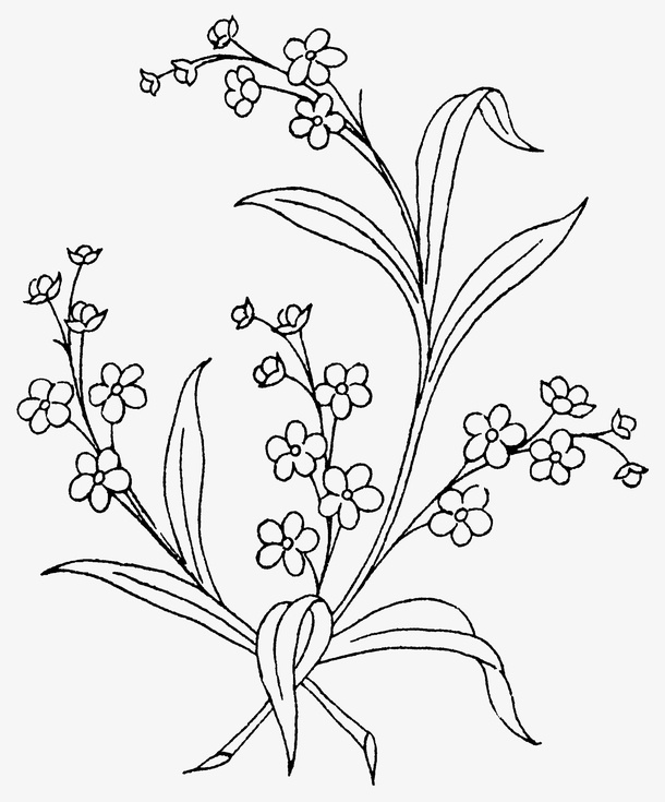 手绘树枝上的花朵免抠