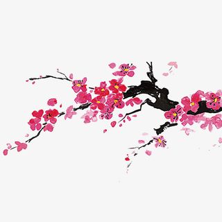 中国风水墨梅花免抠图免抠