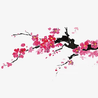 中国风水墨梅花免抠图免抠