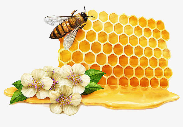 蜂蜜蜂蜜花朵素材免抠