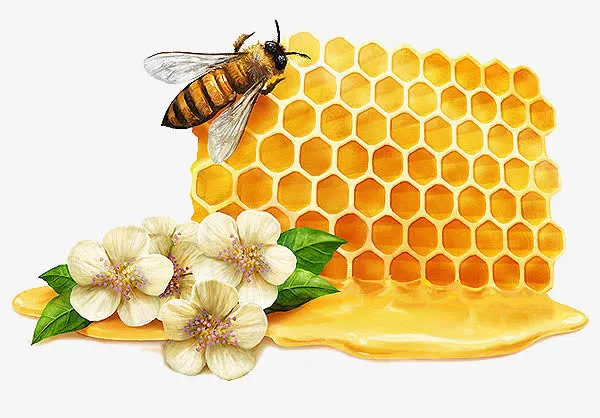 蜂蜜蜂蜜花朵素材免抠