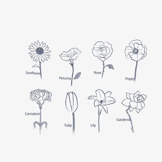 矢量手绘花朵免抠