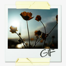 gif图案免抠
