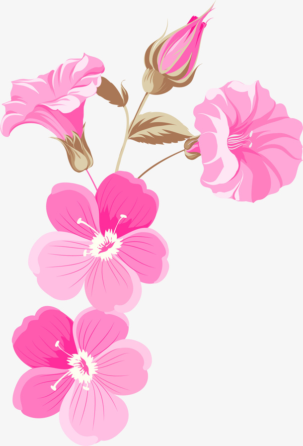 手绘粉色花朵花瓣免抠