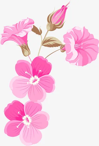 手绘粉色花朵花瓣免抠