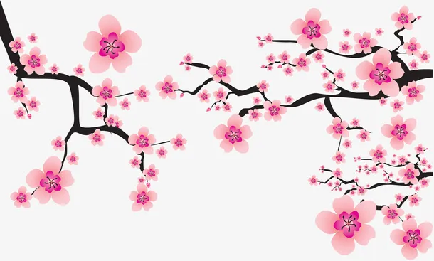 立冬冬天梅花10免抠