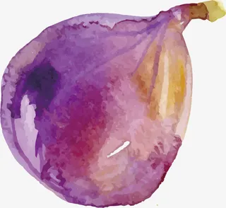 矢量手绘水果免抠