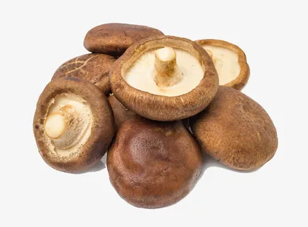 鲜香菇摄影免抠 鲜香菇摄影免抠