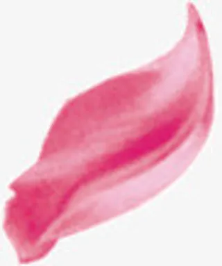 一片花瓣免抠