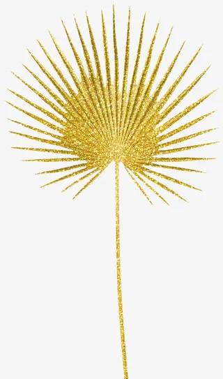 手绘花卉ps素材免抠