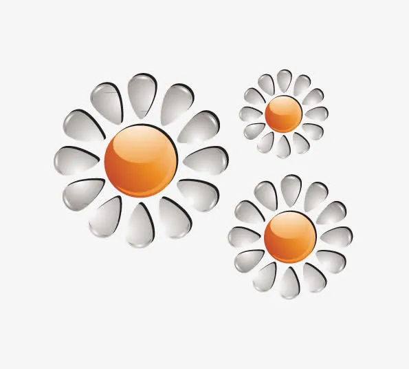 菊花盛开免抠