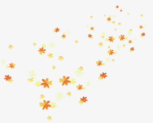 秋叶免抠