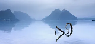 山水库枯木背景图高清