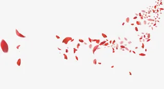 花瓣免抠