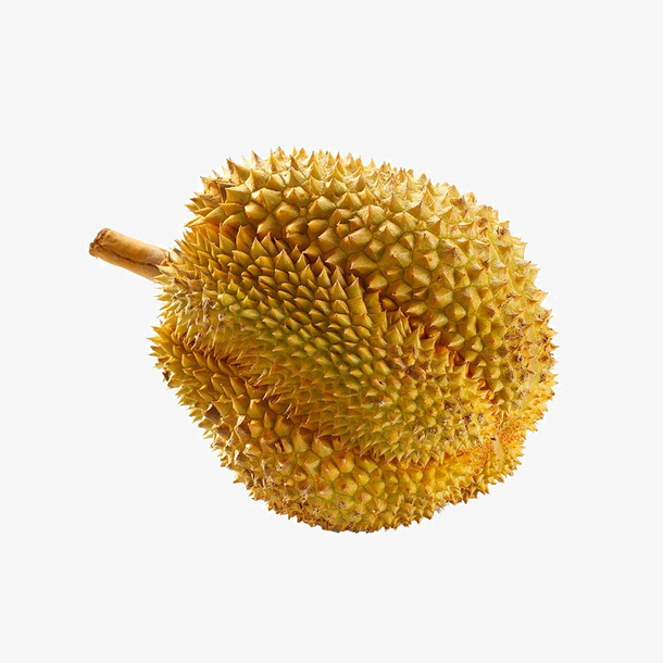 一个超大榴莲设计免抠