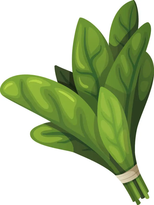 矢量蔬菜免抠