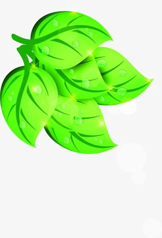 绿色卡通春天创意树叶露珠免抠