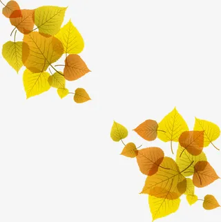 矢量树叶免抠