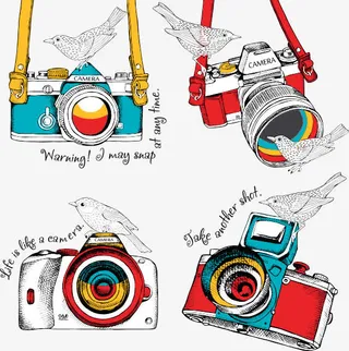 相机与鸟矢量免抠