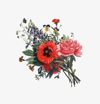 精美的鲜花素材免抠