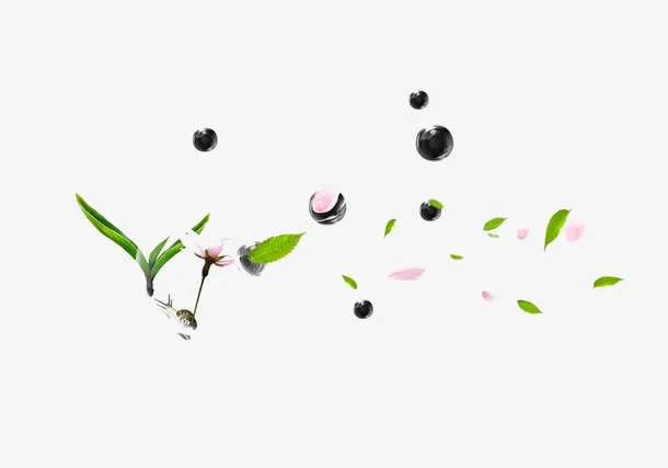 飘落的树叶和花免抠