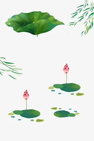 水墨柳条png免扣素材，荷花免抠