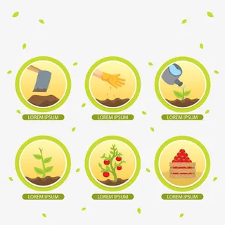矢量种植过程免抠