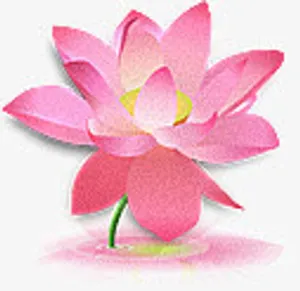 粉色简约荷花手绘免抠