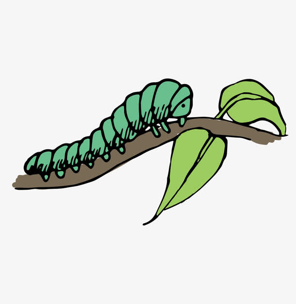 趴在树枝上的毛毛虫免抠