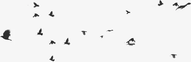 鸟水墨鸟不规则漂浮装饰免抠