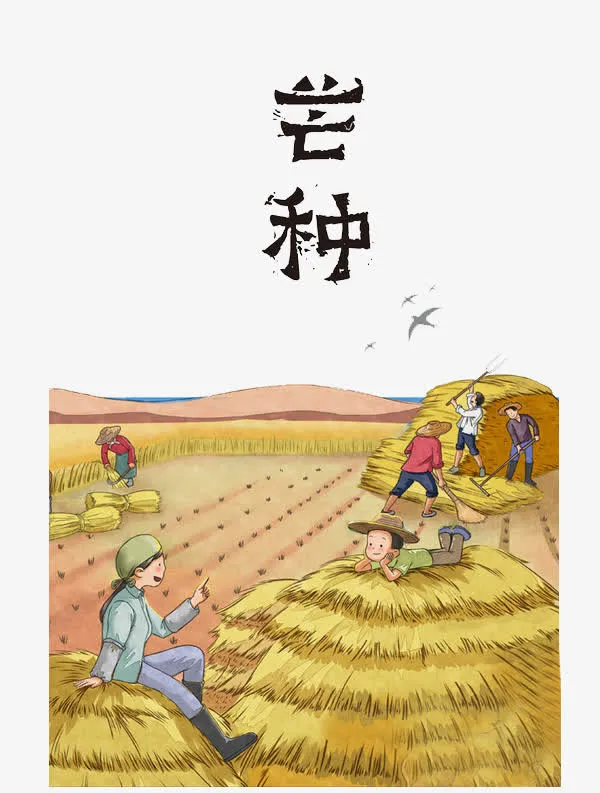 二十四节气芒种免抠