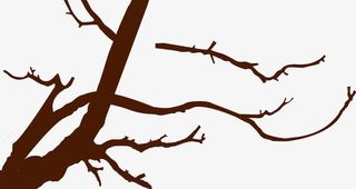 韩式树枝造型设计免抠