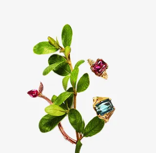 树枝上的宝石免抠